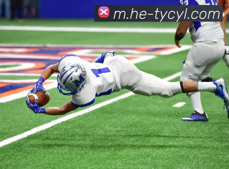 澳门太阳城网站平台生态图