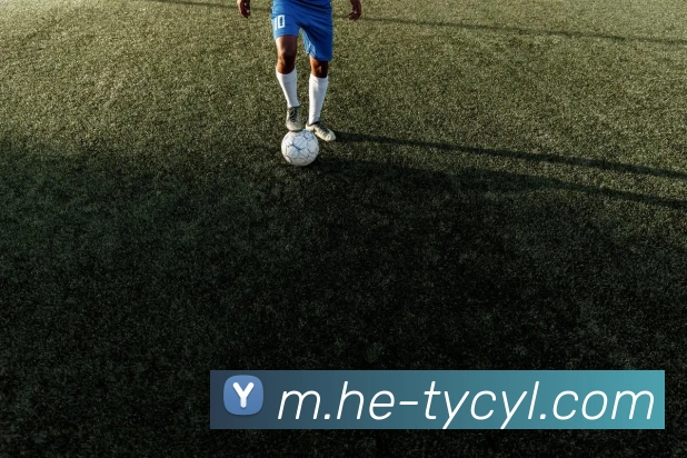 澳门太阳城网站全站App 澳门太阳城网站全站App